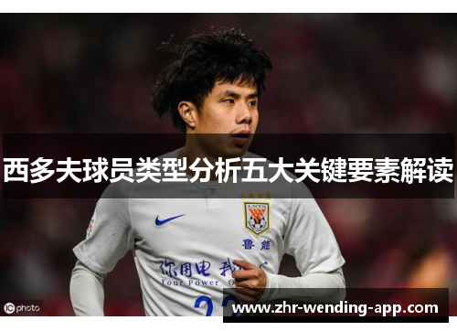 西多夫球员类型分析五大关键要素解读 西多夫球员类型分析五大关键要素解读