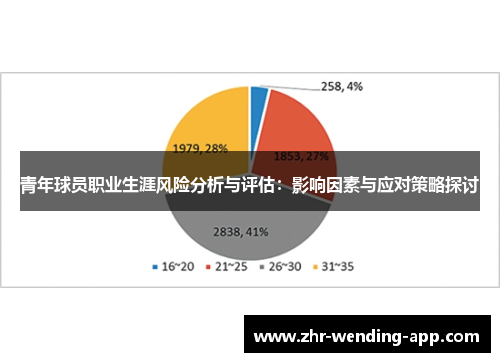 青年球员职业生涯风险分析与评估：影响因素与应对策略探讨
